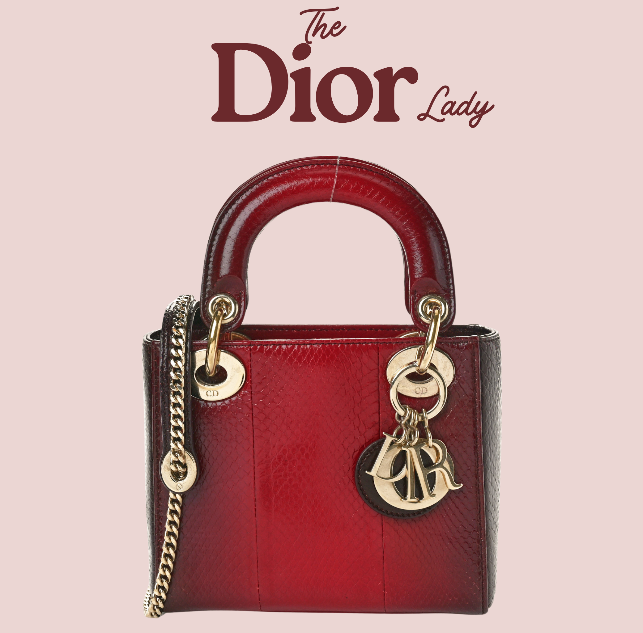 Christian Dior  Lizard Gradient Mini Lady Dior