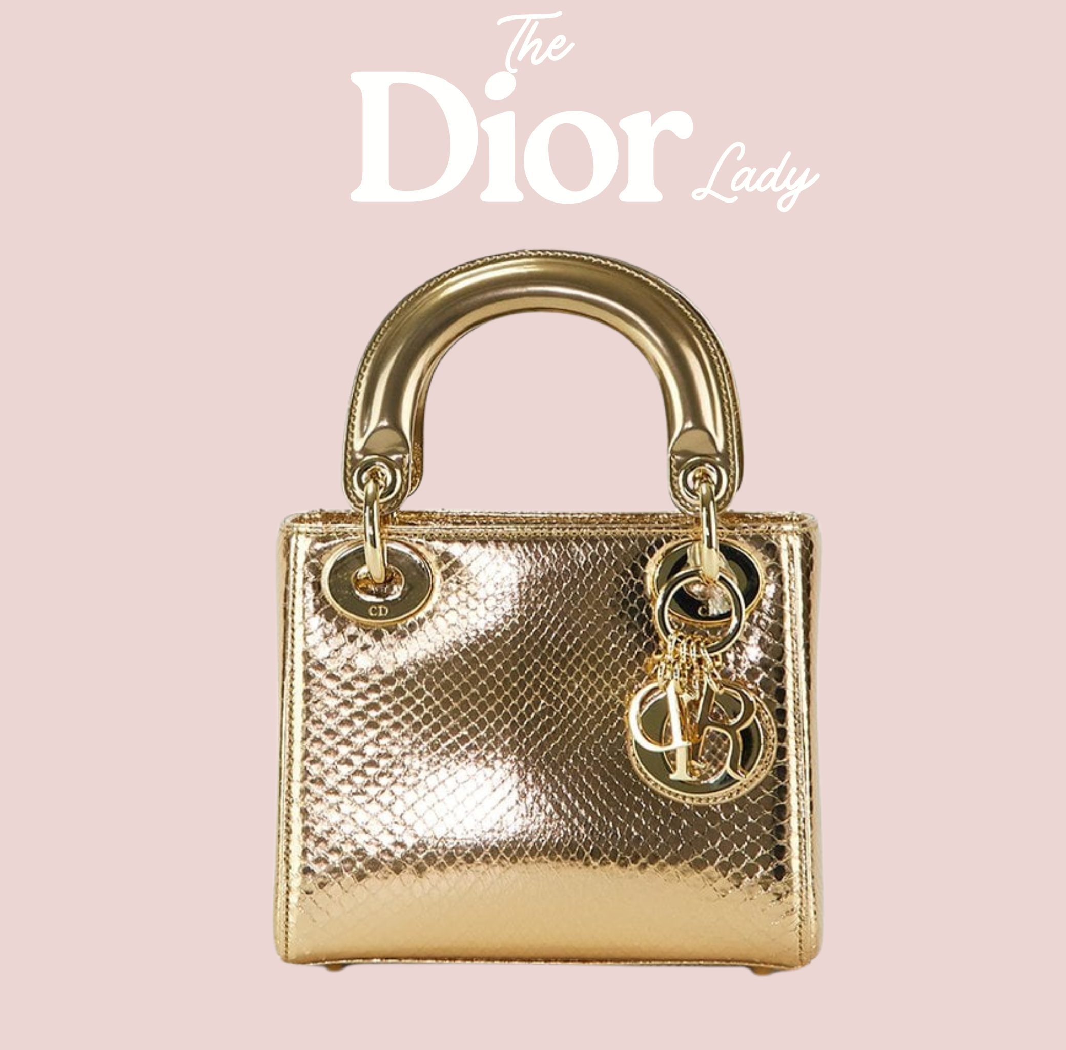 Christian Dior  Lizard Gradient Mini Lady Dior