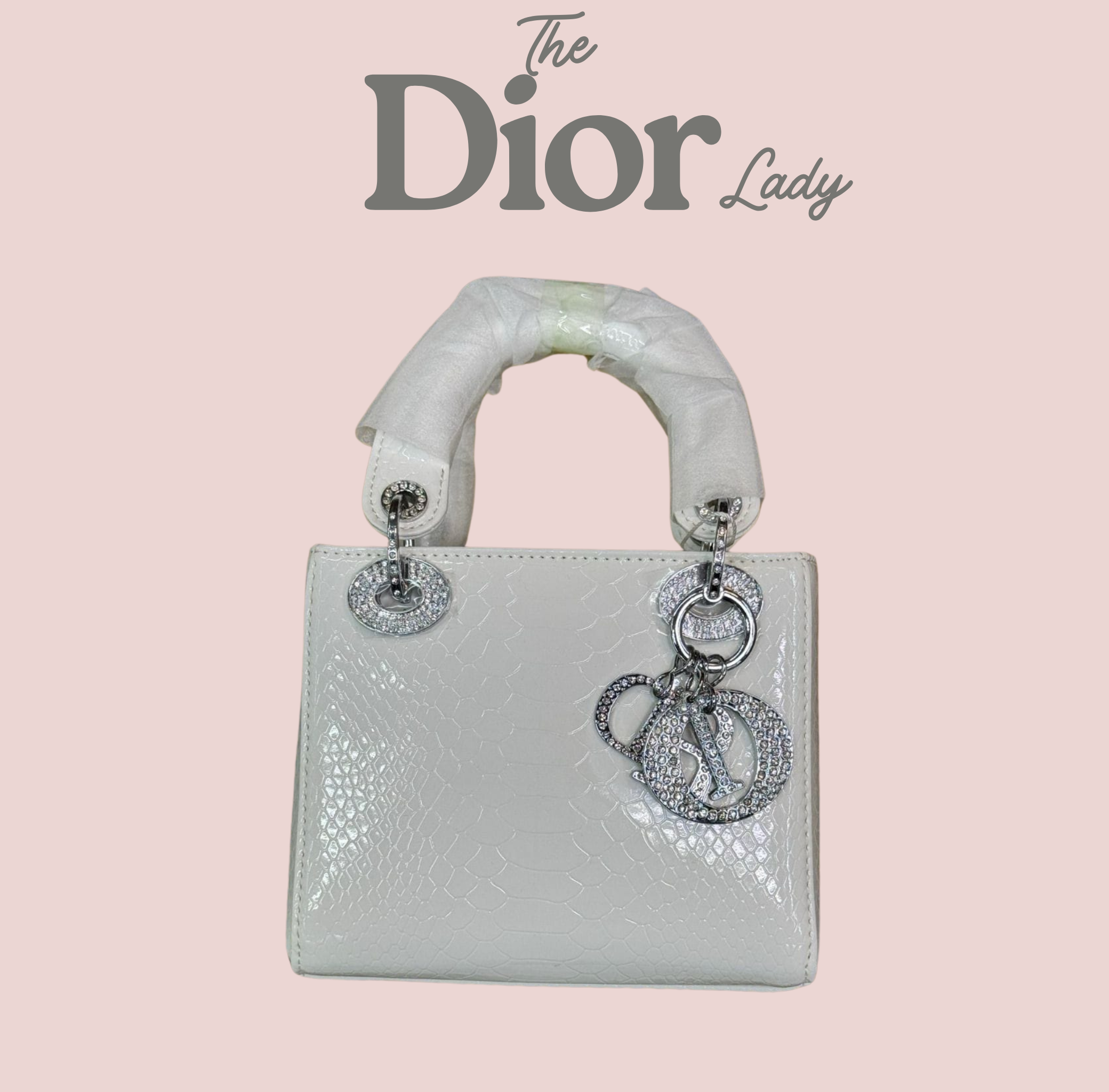 Christian Dior  Lizard Gradient Mini Lady Dior