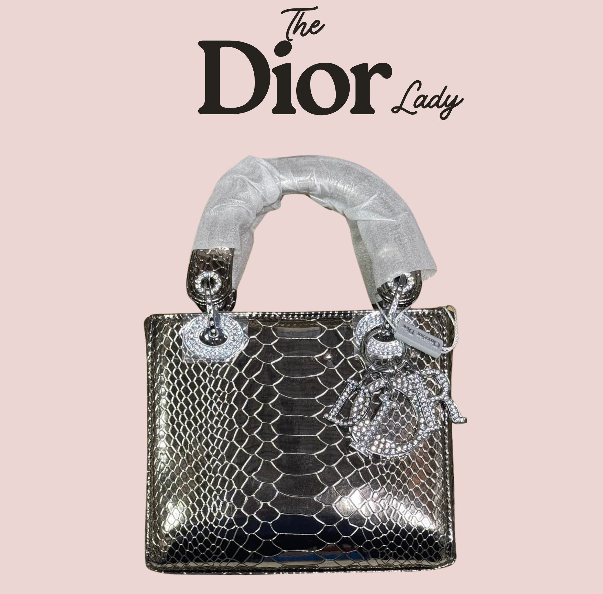 Christian Dior  Lizard Gradient Mini Lady Dior